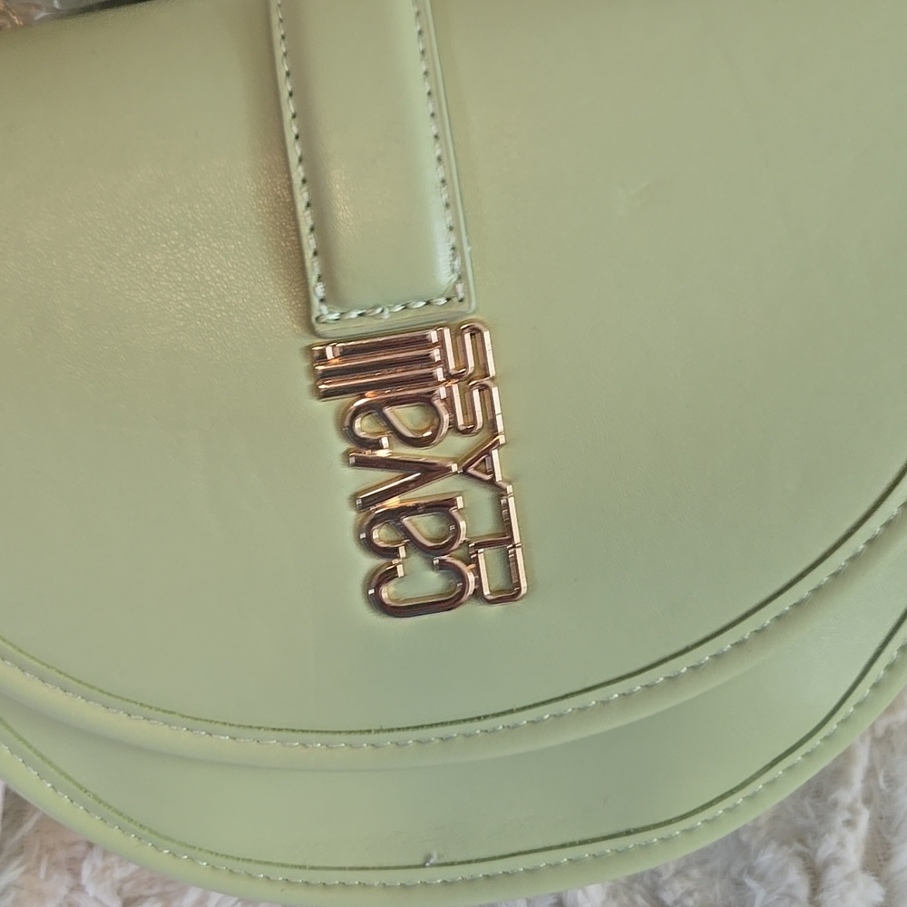 Cavalli Class Pastel Mint Green Crossbody Bag with Gold Logo NWT - Picture 2 of 5
